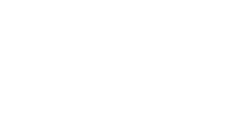 Vision Zero Consult